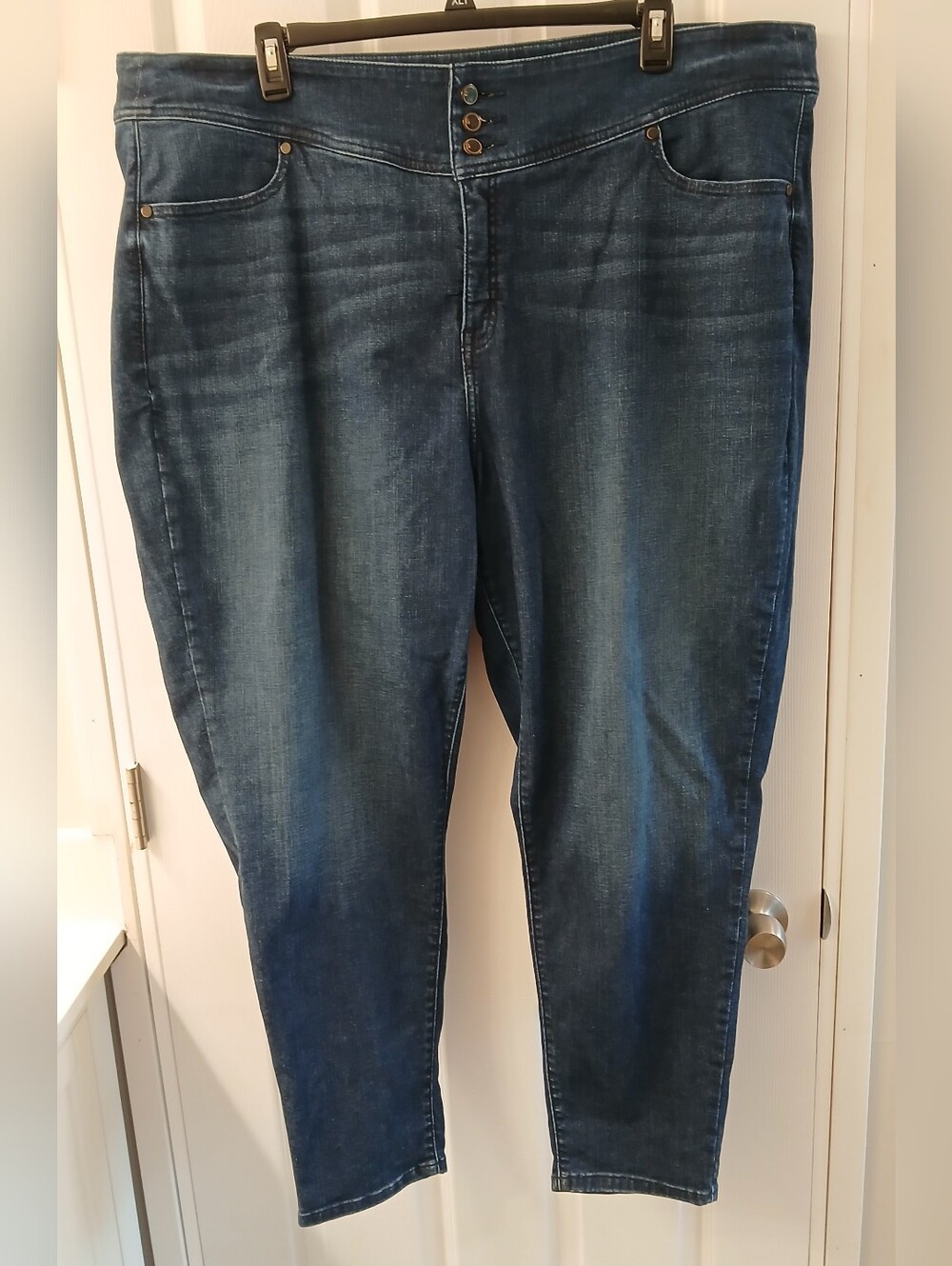 Lane Bryant Skinny Jeans – Size 28 Regular – Dark Wash – Gently Used